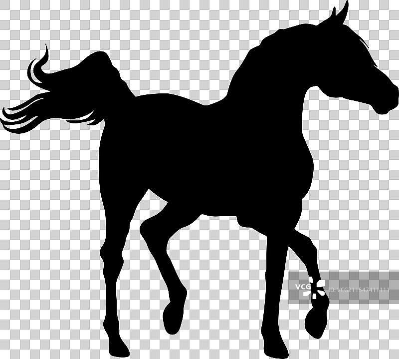 充满活力的奔跑马匹剪影图片素材