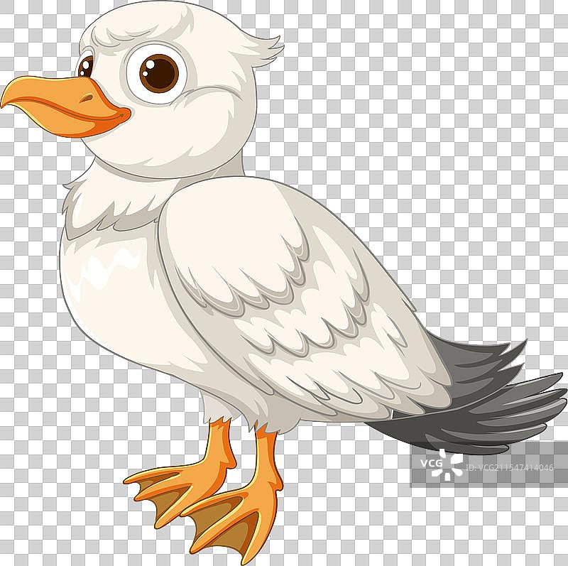 可爱的海鸥角色图片素材