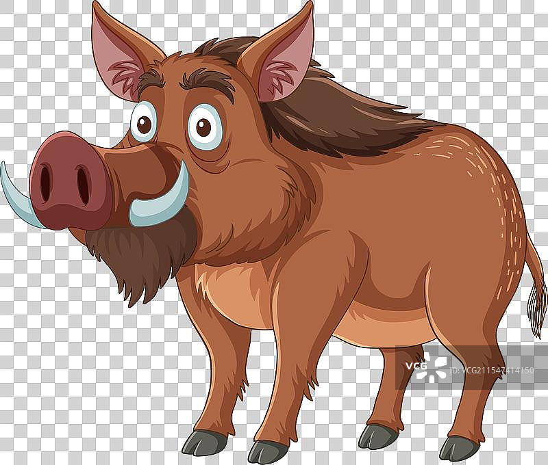 微笑的野猪色彩斑斓图片素材