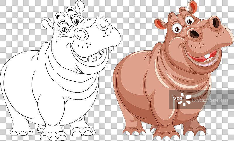 两只微笑的河马在嬉戏图片素材