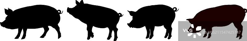 猪的轮廓图片素材