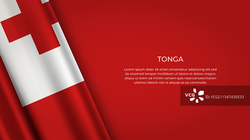汤加国旗，原色展示图片素材