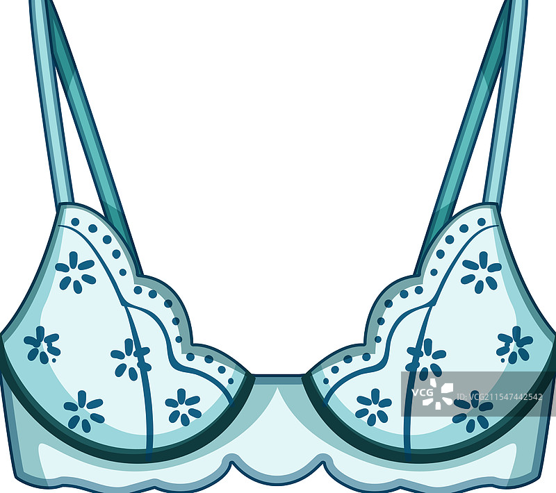 精致的蕾丝文胸卡通图案图片素材