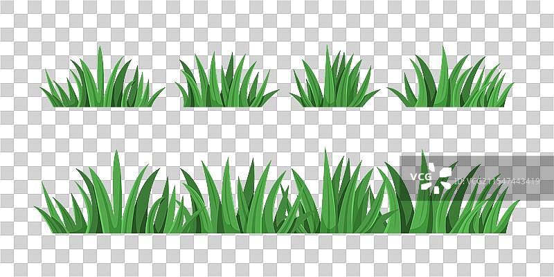 一组绿色草丛图片素材