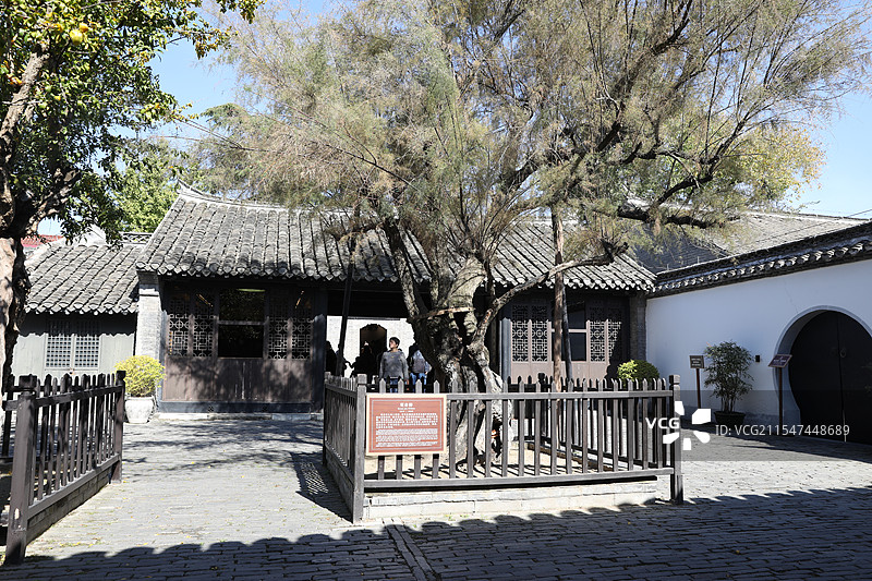 江苏淮安：周恩来故居的观音柳图片素材