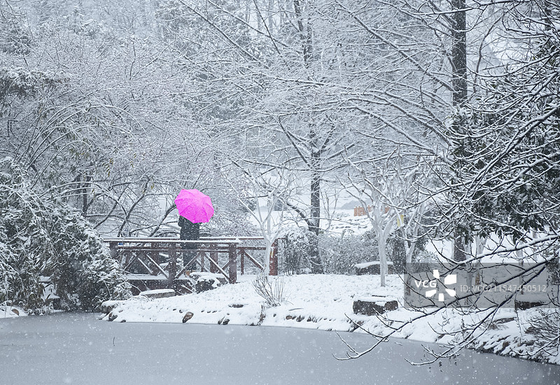 雪中小红伞图片素材