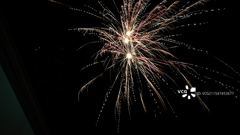 绽放的烟花图片素材