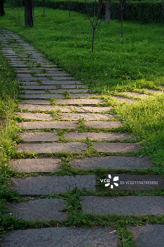 长春南湖公园草地环绕的石板路图片素材