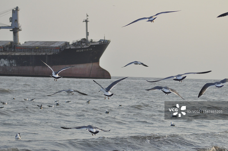 威海之恋图片素材