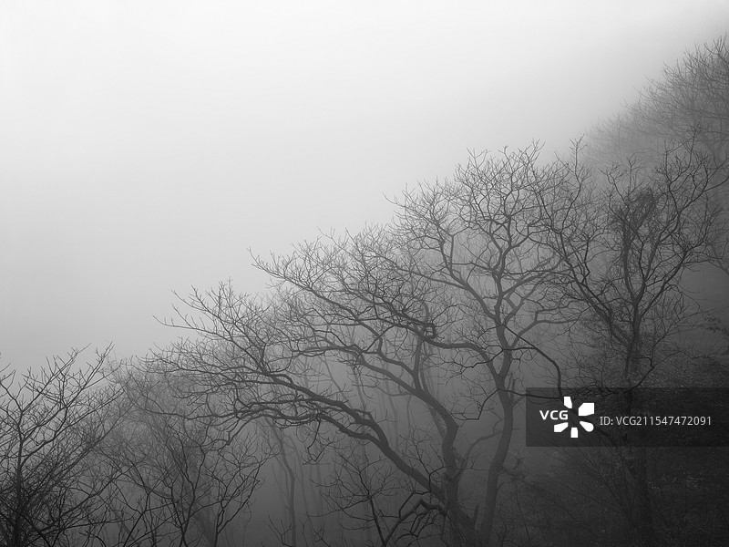 云雾下的马仁奇峰2图片素材