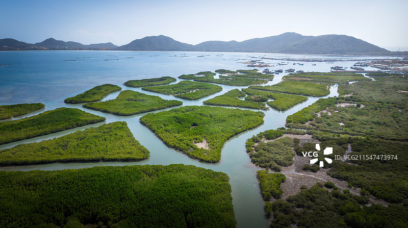 陵水红树林图片素材