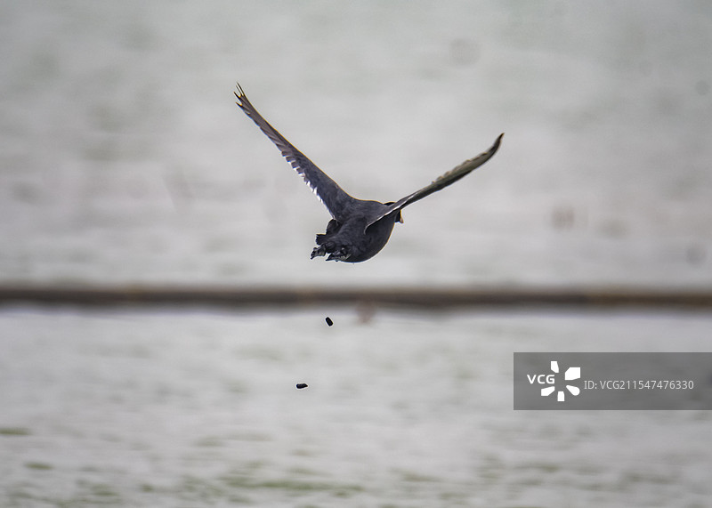 惊吓过度的样子图片素材