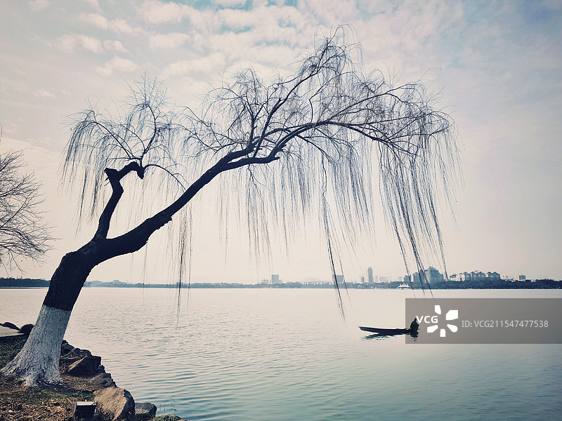 《初春江南》，春风杨柳飘，初春江南好。（摄于浙江省绍兴市柯桥区瓜渚湖）图片素材