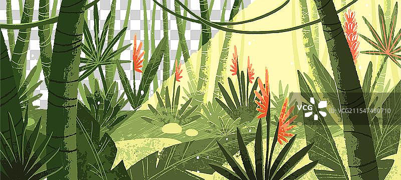 亚马逊丛林风景背景热带雨林图片素材