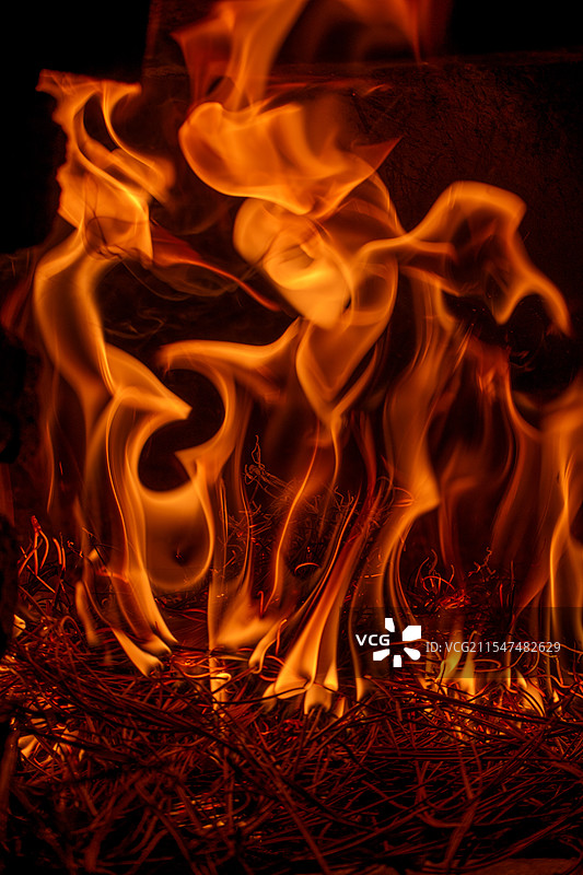 松枝燃烧图片素材