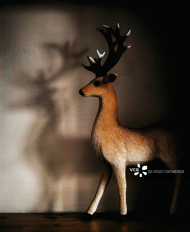 鹿及影子图片素材
