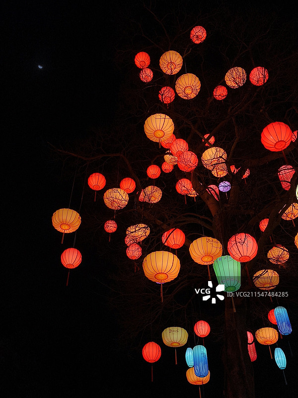 西溪湿地正月初九月下的元宵灯树图片素材