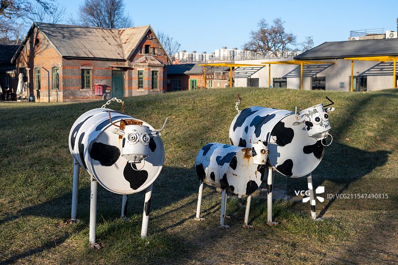 三只奶牛图片素材