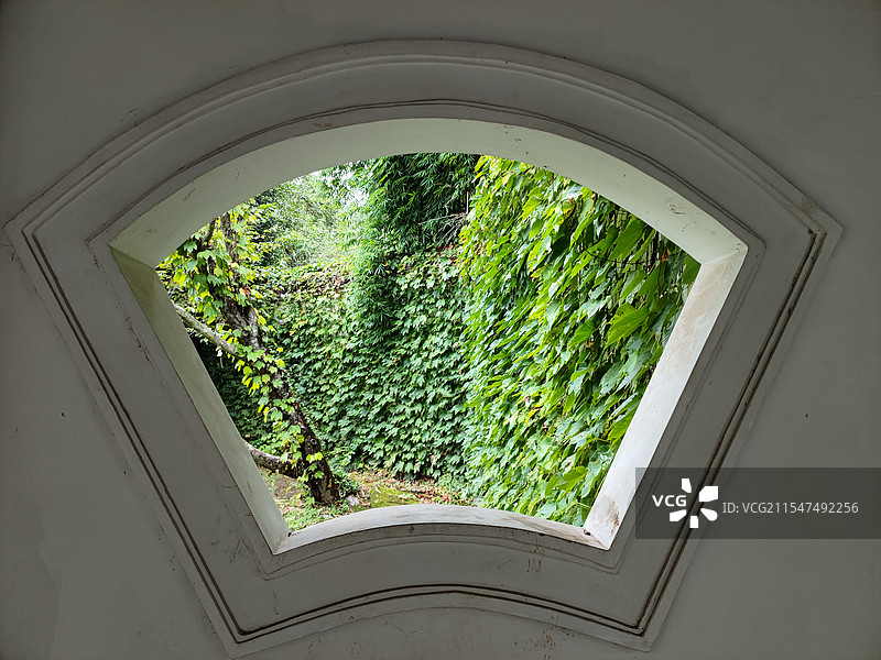 窗外绿色秘境图片素材