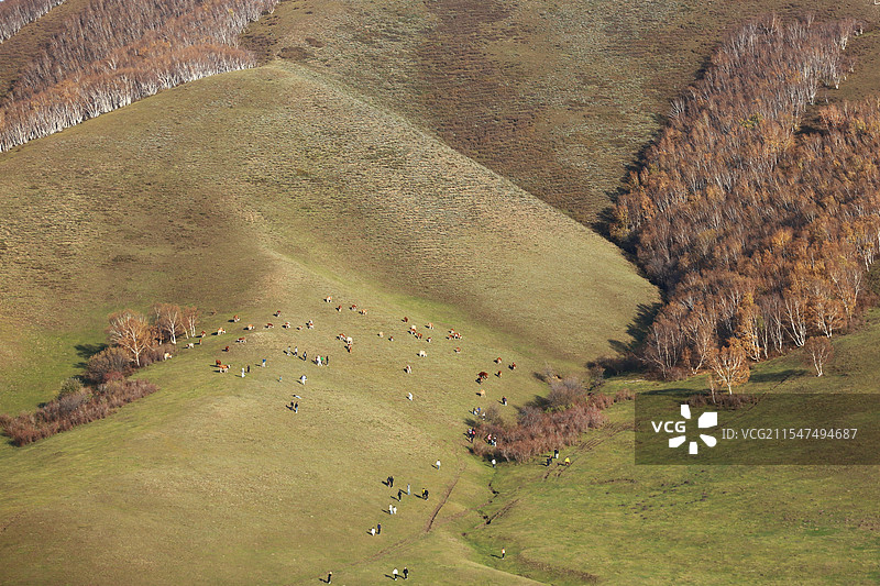 秋天草原天路的角落图片素材