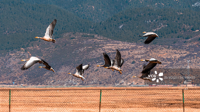 冬季 | 从迪庆到芒康图片素材