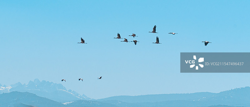 冬季 | 从迪庆到芒康图片素材