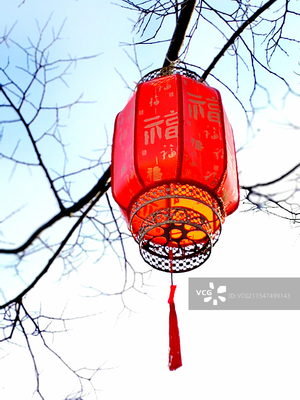 树上的红灯笼图片素材