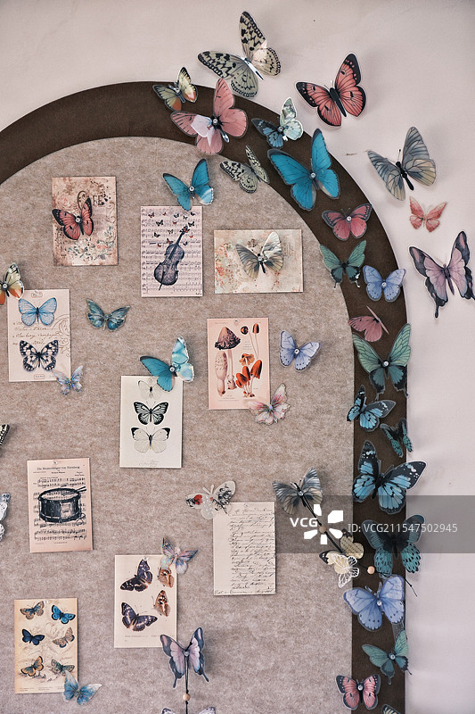 蝴蝶墙图片素材