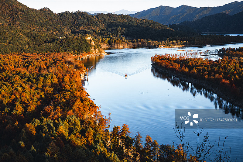 皖南318红衫林图片素材