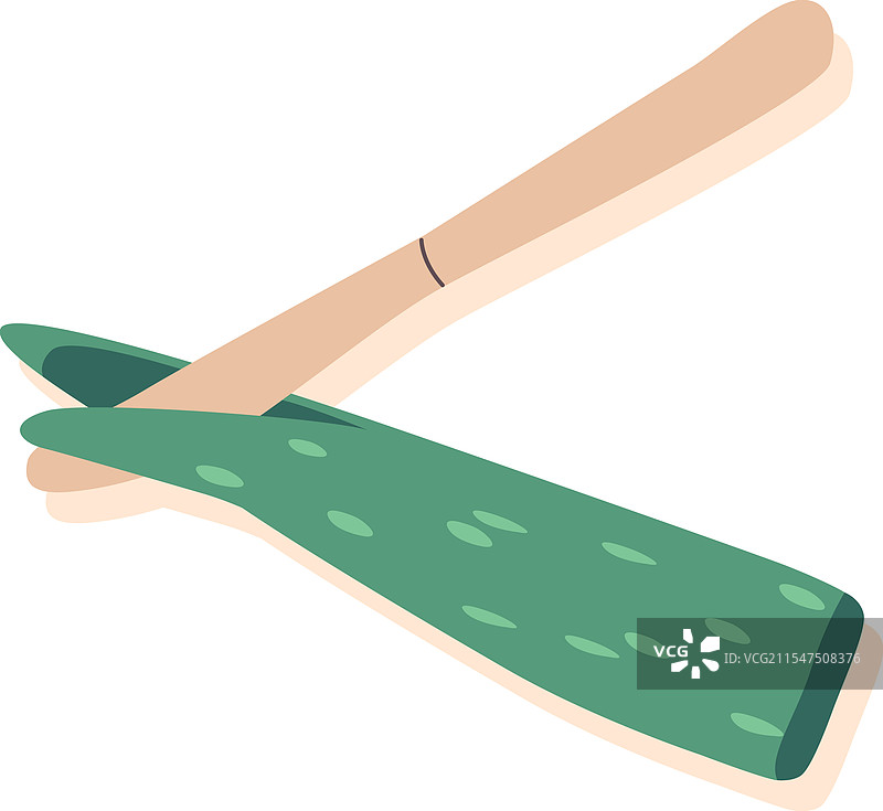 芦荟叶图片素材