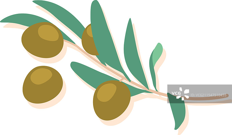 一串绿色橄榄图片素材