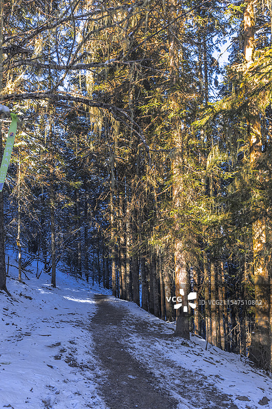 米亚罗图片素材
