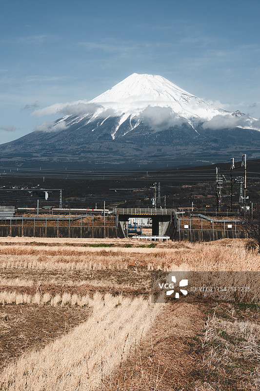 富士山与稻田图片素材