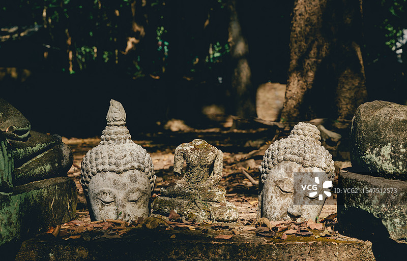 残缺佛头悟孟寺图片素材