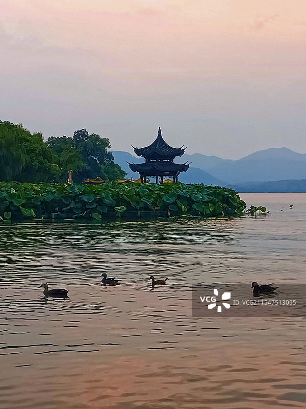 夕阳下的西湖集贤亭图片素材