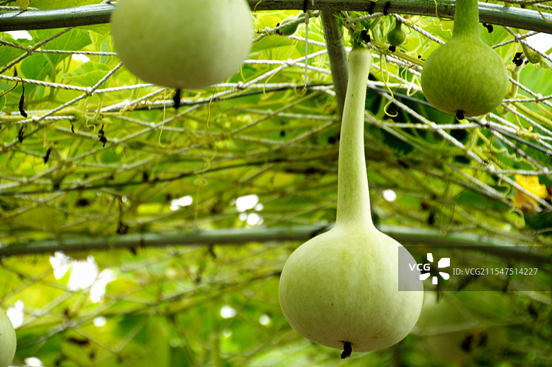 伊春市九峰山养心谷图片素材