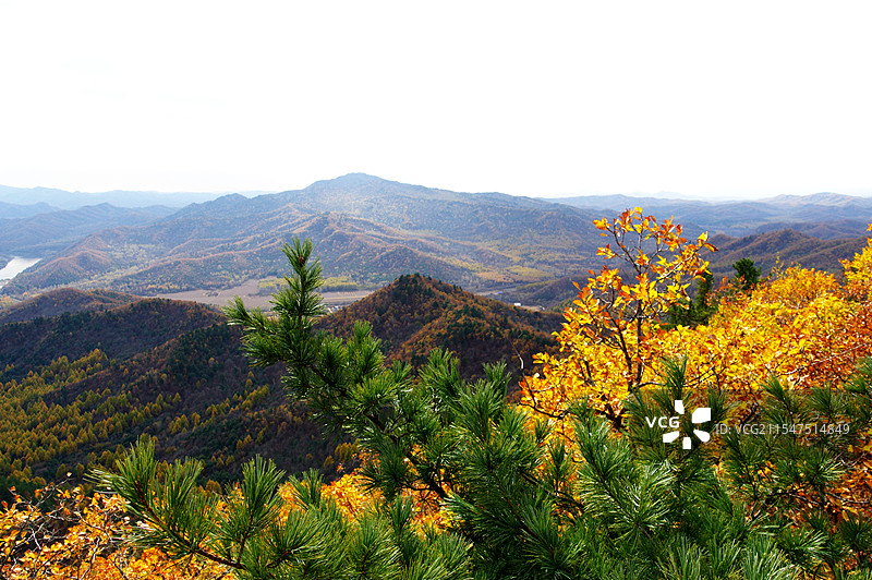 伊春市金山风光图片素材
