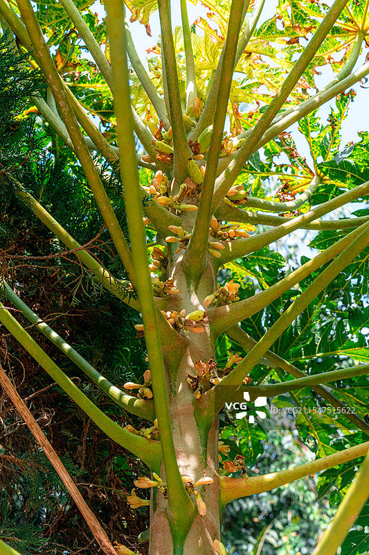 重走滇缅公路图片素材