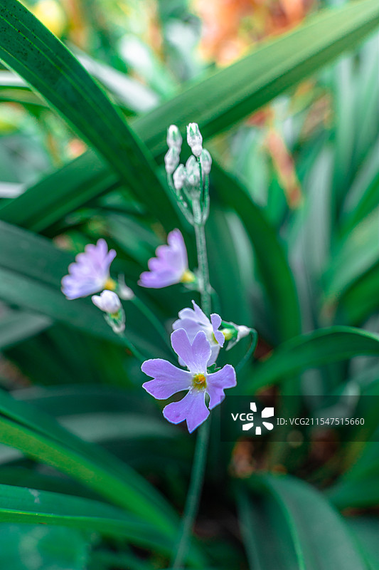 重走滇缅公路图片素材