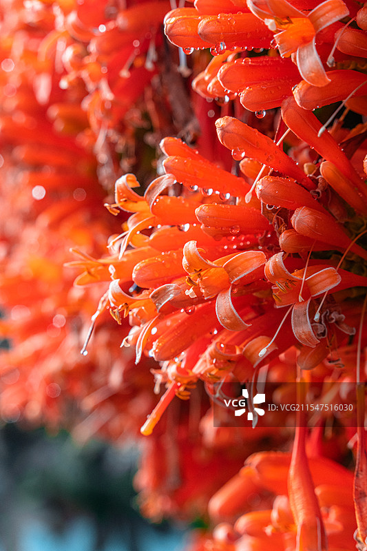 重走滇缅公路图片素材