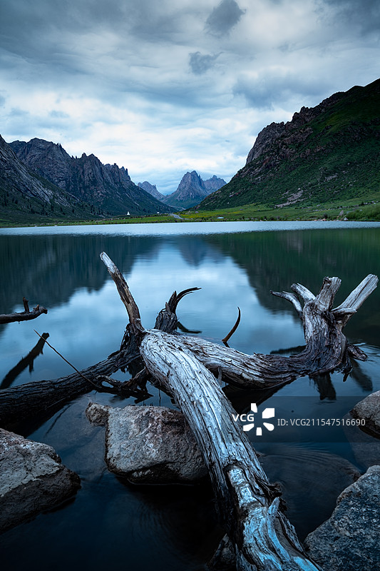 莲宝叶则图片素材