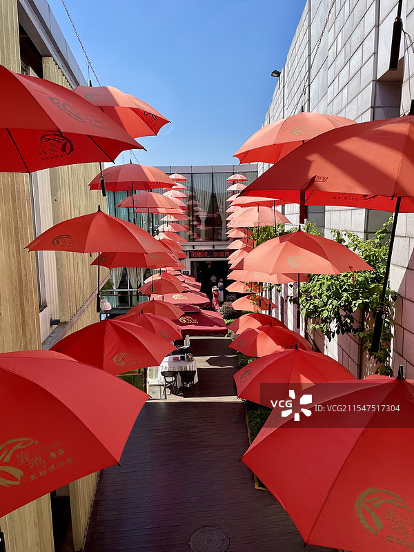 伞之韵味图片素材