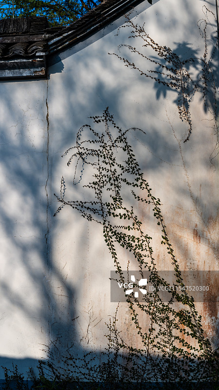 浙江绍兴柯桥绍兴舜王庙外的美丽景色，绍兴美丽的冬天景色，冬天的绍兴图片素材