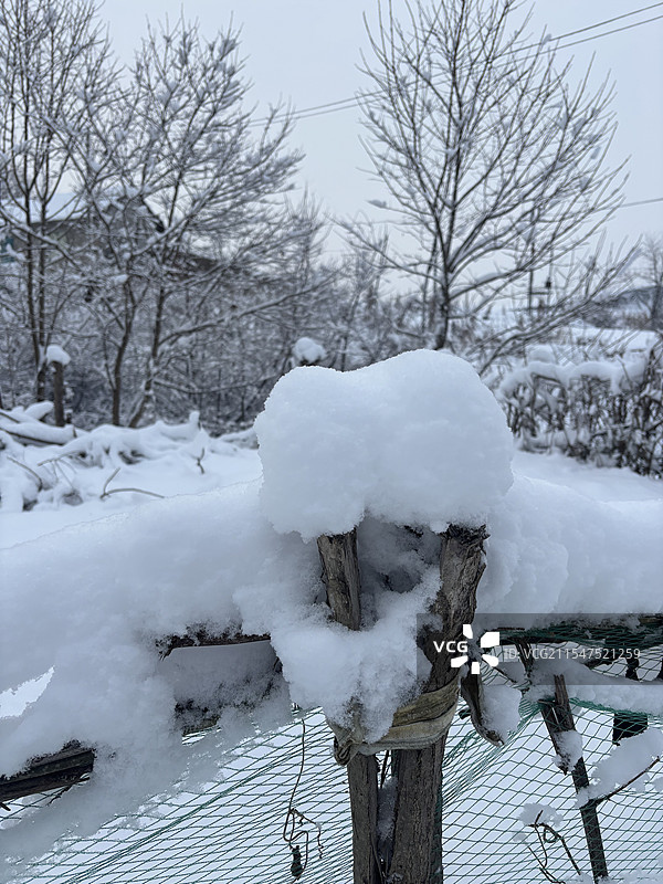 东北雪后图片素材