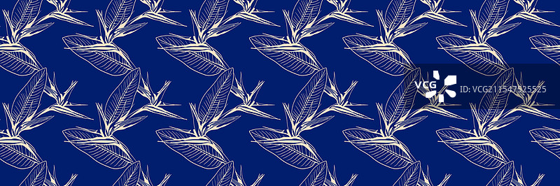 优雅的极乐鸟花无缝图案图片素材