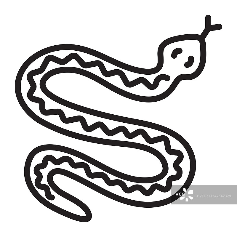 黑线蛇图片素材