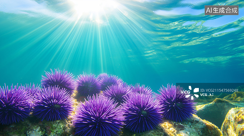 【AI数字艺术】紫色海胆与阳光图片素材