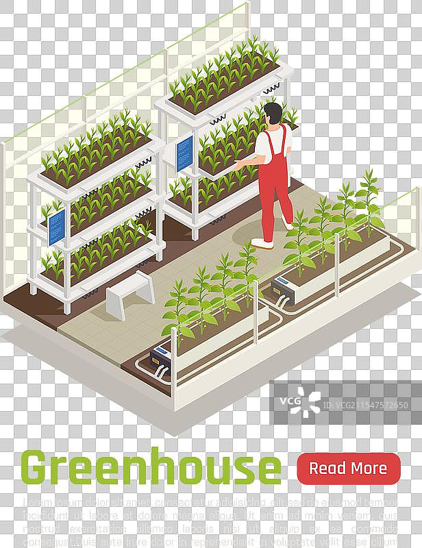 水培温室等距构图图片素材