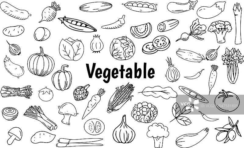 手绘蔬菜线条艺术涂鸦图片素材