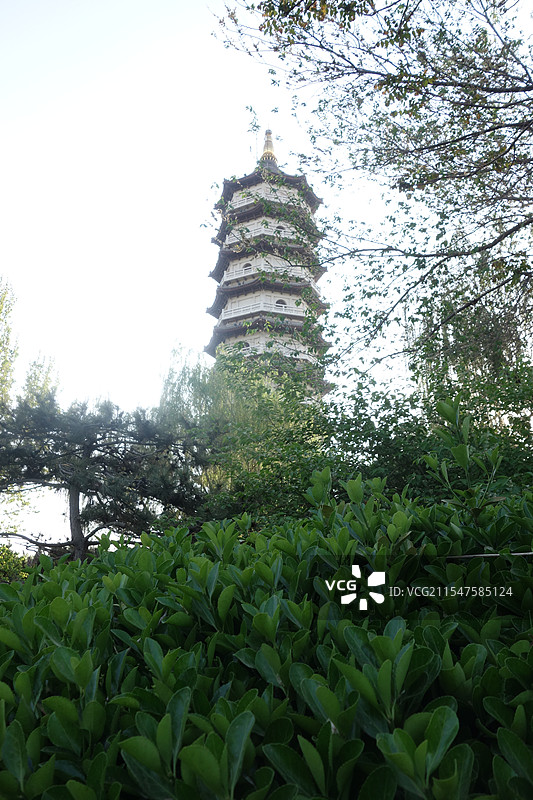 天津宁园园林景观-建筑自然风光图片素材